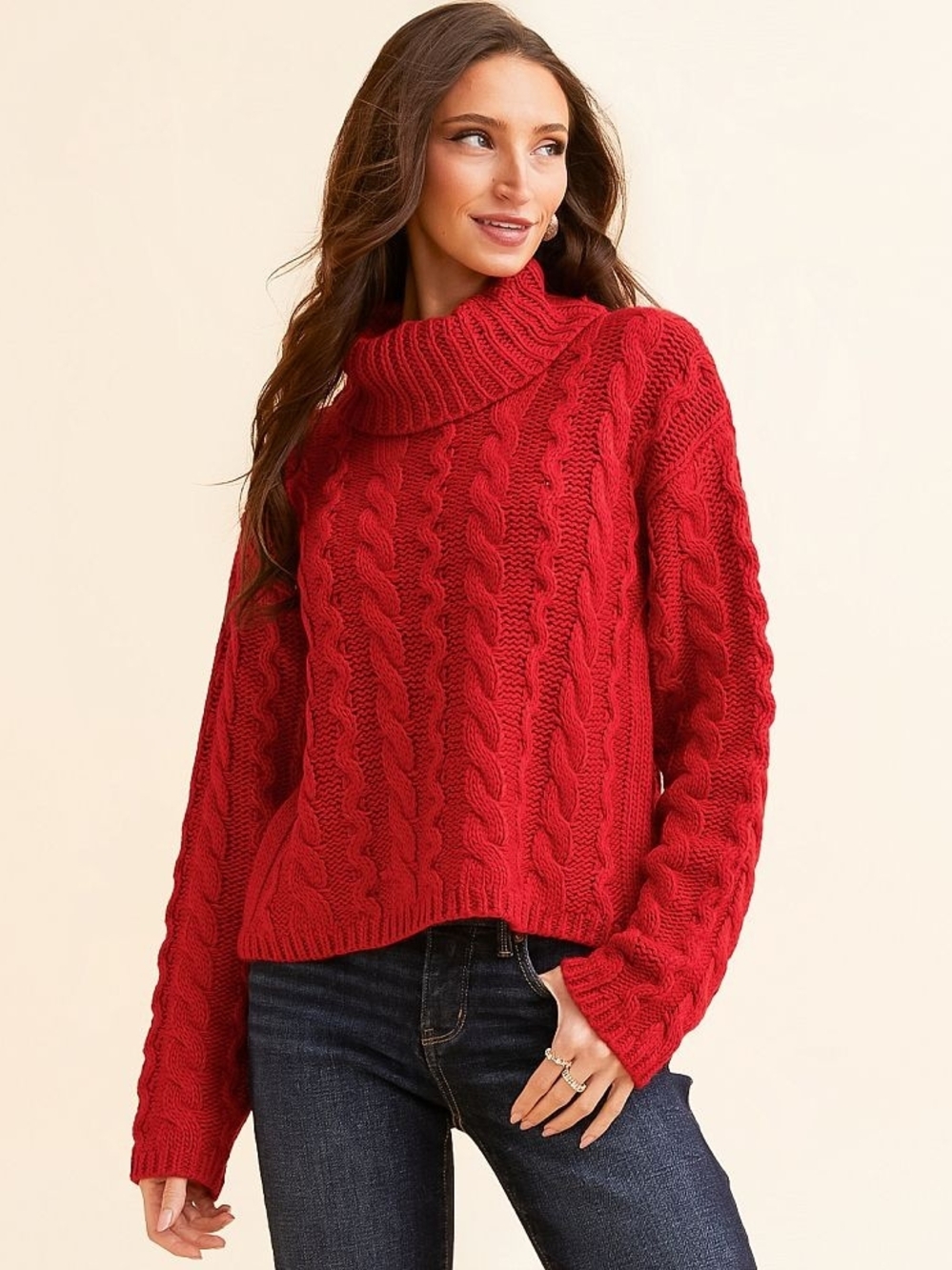 Z Supply Red Cable Turtleneck Sweater